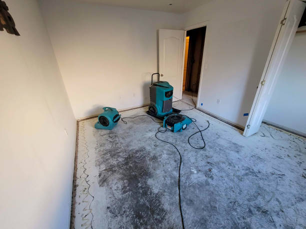 Best Carpet water damage restoration  in Terryville, CT