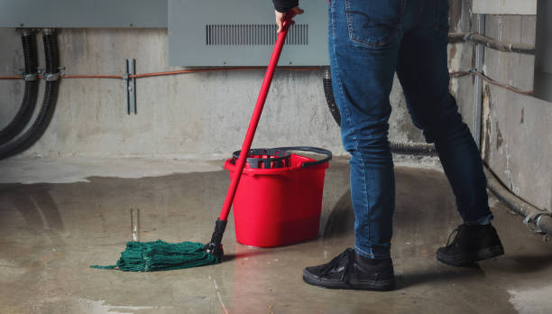 Best Water damage contractors near me  in Terryville, CT