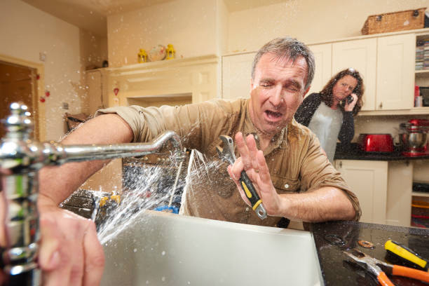 Best 24/7 water damage repair  in Terryville, CT